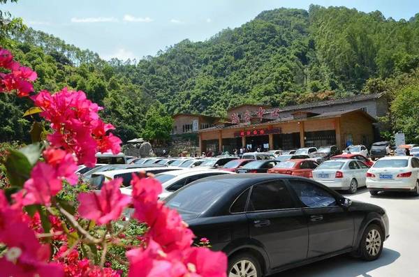 【大饱眼福】东田玫瑰小镇"五一"玫瑰文化艺术精彩视频,照片大放送!