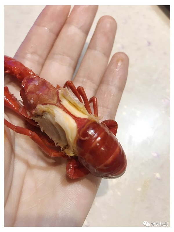 更牛的是他们家的海鲜粥竟然不用一滴水!