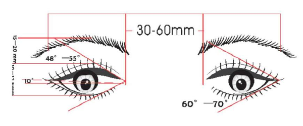 眼睛美学标准分析图图片