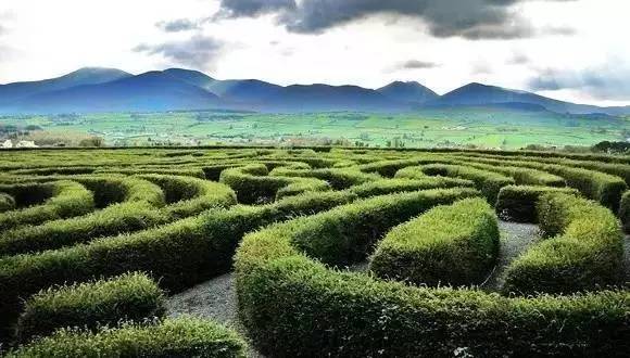 【设计集锦】世界最迷人漂亮的植物迷宫盘点