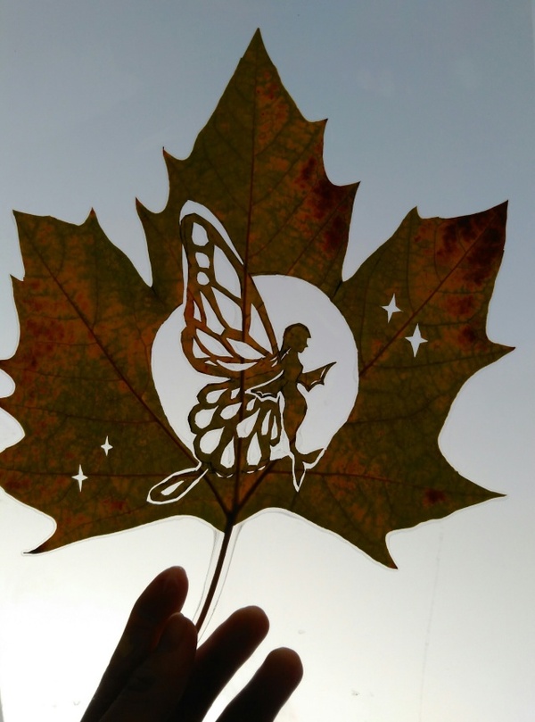 毕业倒计时三十天 | 树叶装不满我的思念