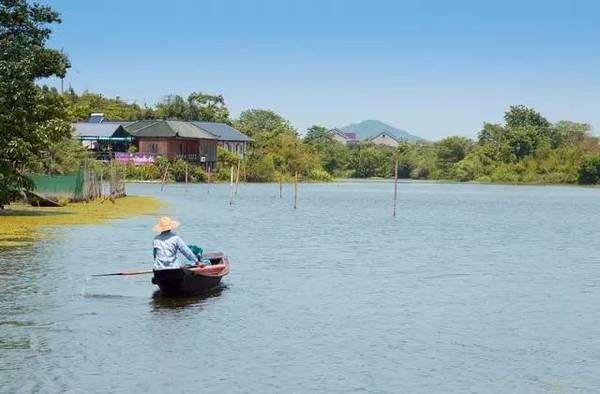 下渚湖溼地風景區以生態保護為宗旨,充分體現自然,野趣,遠離噪聲之