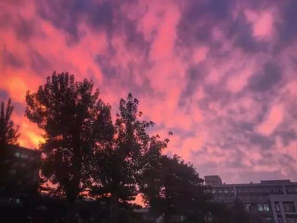 今天傍晚京城的天空,是紫红色的浪漫