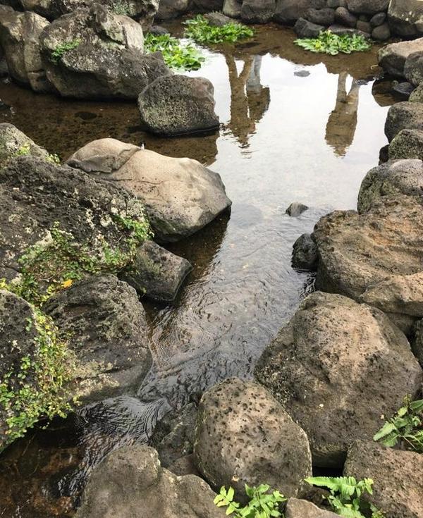 海南第一冷泉:泉眼多達10幾個 23℃泉水涼爽無比