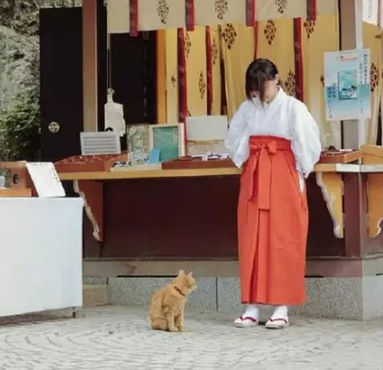 如今日本巫女的生活，没有信仰只是职业-旅游频道-手机搜狐