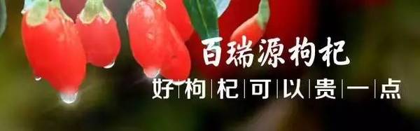 喜讯:百瑞源董事长郝向峰荣获自治区"塞上英才"