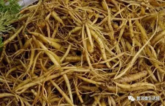 普洱人端午煲汤常用的药根,一种药根治一种病,都是宝贝!赶快收藏.