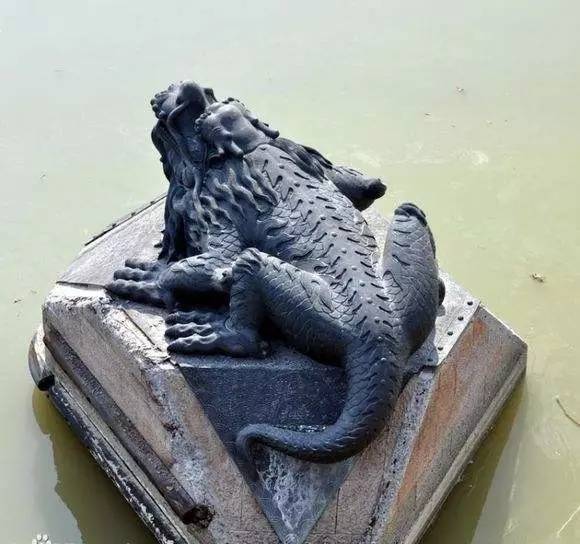 为啥它只出现在河道里?