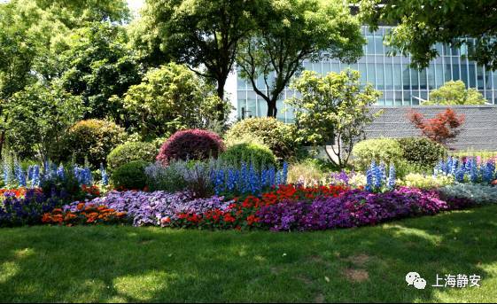 绿化特色街区就是利用道路的绿化资源,围绕城市特色商业,休闲娱乐