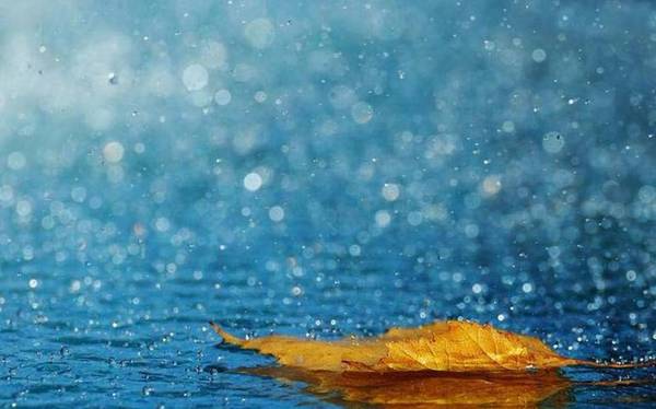 那些飘进唐诗宋词里的雨,唯美入夏