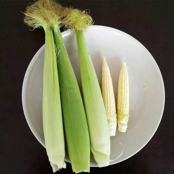 其实侧苞里也有好东西,那就是玉米笋