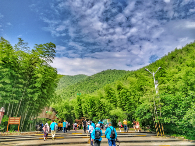 【17i游常州"天堂南山,梦幻竹海"南山竹海!