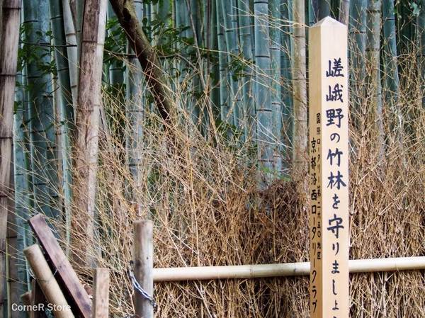 Corner 岚山 日落黄昏时分的magic Hour 新闻频道 手机搜狐