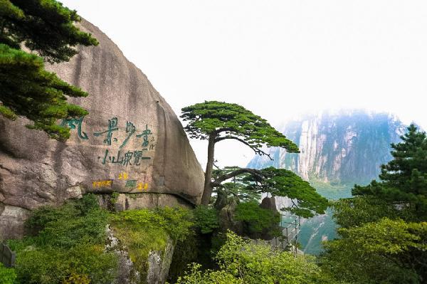 黄山四绝,分别为:奇松,怪石,云海,温泉.是指黄山的四种独特景观.