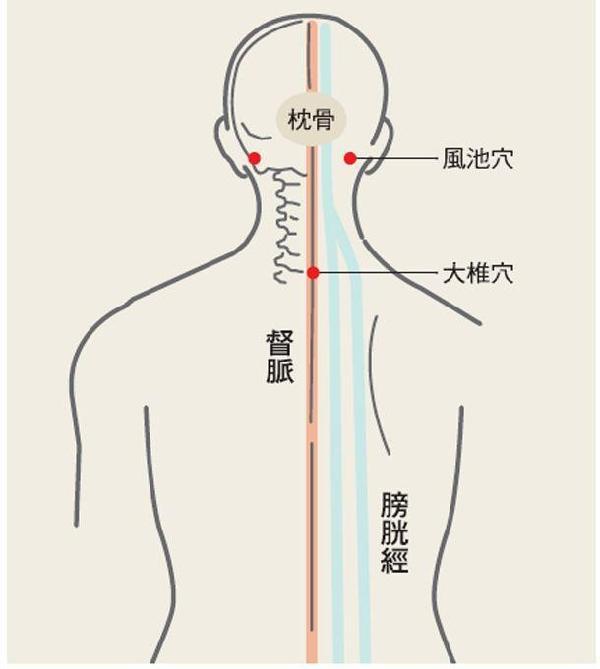 鼻炎不能怪鼻子:各種鼻炎的經絡調治法 ?