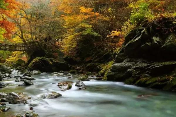 最受欢迎的日本风景 你知道么 旅游频道 手机搜狐