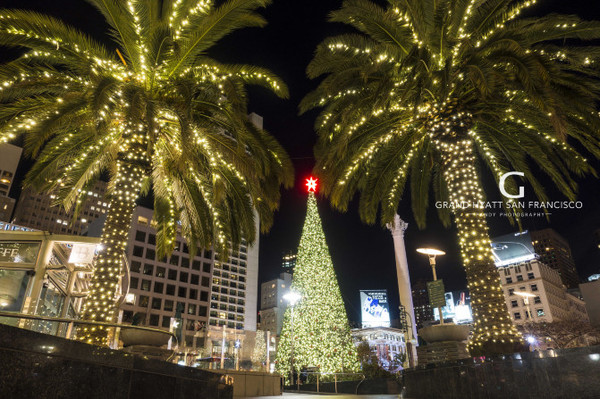 入住时间:16:00以后 离店时间:12:00之前 地址:345 stockton street