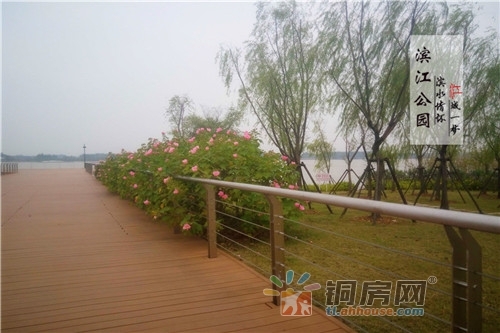 滨江景观区 探访铜陵 外滩 滨江生态公园 旅游频道 手机搜狐