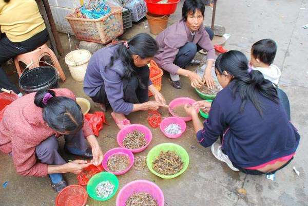 冬日万里走天涯之三:在广东徐闻海鲜市场里瞧风景