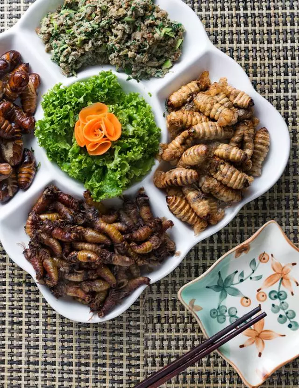 凤城十大美食|一大波美食正在向你靠近