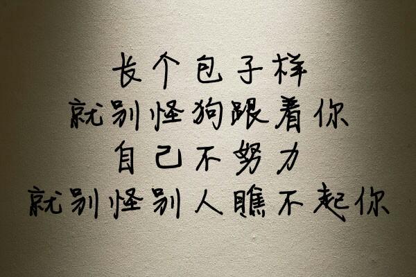 长个包子样,就别怪狗跟着你,自己不努力,就别怪别人瞧不起你.