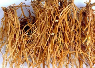 清热燥湿药之龙胆草你知多少 健康频道 手机搜狐