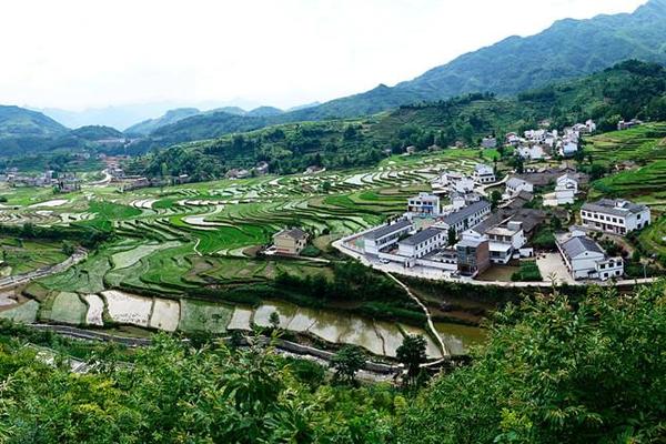 凤堰梯田美 太行古茶香汉阴开启旅游脱贫新模式 旅游频道 手机搜狐