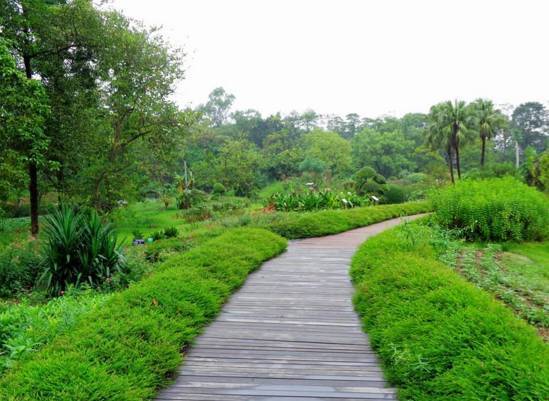 头条 此中有真意之 寻梦广西药用植物园 旅游频道 手机搜狐