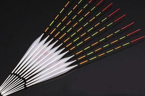 浮漂中的自然科学知识(上)-体育频道-手机搜狐三友创美大讲堂第五期浮