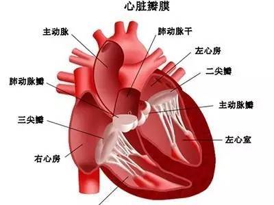 丞燕 心醇 您身体的心肝宝贝 美食频道 手机搜狐