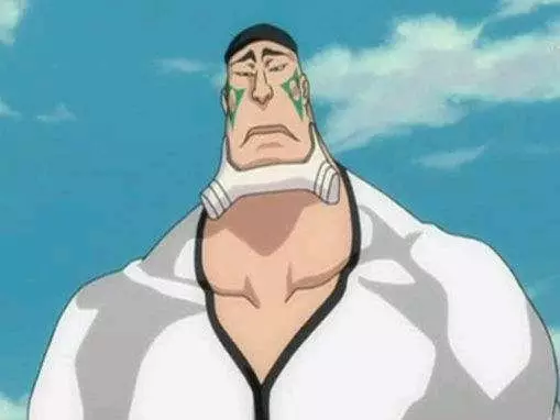 死神破面篇虚的实力分析,哪些具有一般队长级