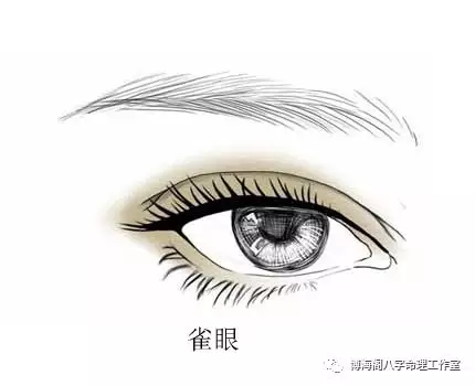 面相中各种眼睛形状代表什么 最全的眼睛相术 星座频道 手机搜狐