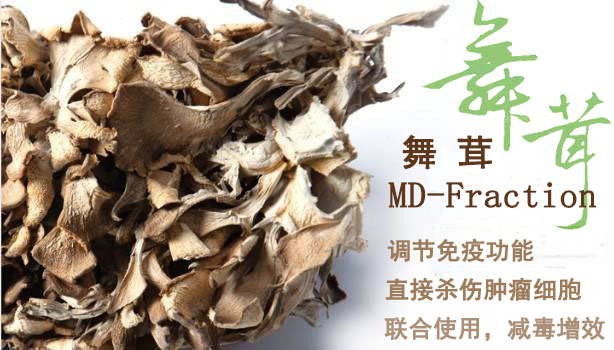 难波舞茸md Fraction抗癌界的奇葩 健康频道 手机搜狐