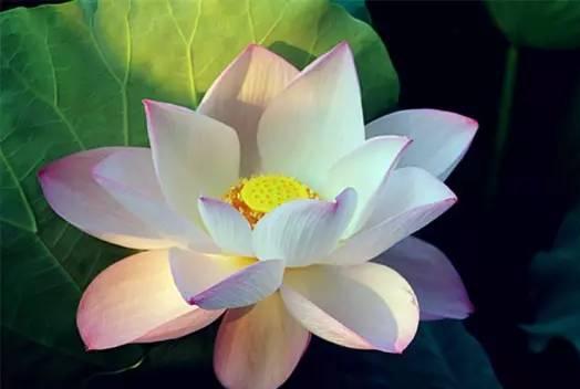 6月23日民俗宜忌及命例赏析 星座频道 手机搜狐