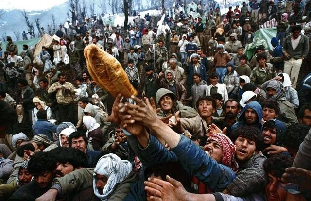 花17亿把这些难民打包回中国,网友看了齐称