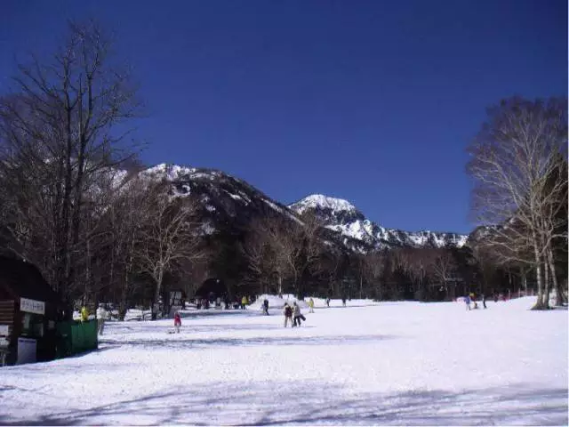 难怪日本滑雪水平高东京周边竟然有这么多滑雪场 旅游频道 手机搜狐