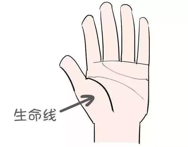 手相学 生命线分叉了 预示着什么 健康频道 手机搜狐 手相学 生命线分叉了 预示着什么 健康频道 手机搜狐