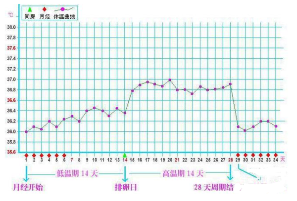 备孕2个月成功 分享助我快速好孕的妙招 母婴频道 手机搜狐