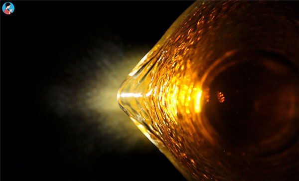 陈文品:对关于云南茶叶产业发展建议的质疑