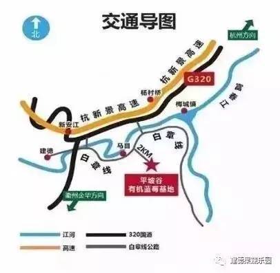 【周末去哪儿】蓝莓采摘正当时,平坡谷蓝莓熟了,一起去呀!