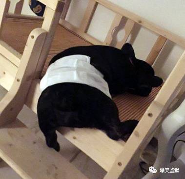 内涵段子:在秋名山输给了辆三轮车车主!