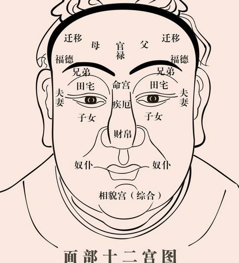 命理面相 鼻肉多的人主富 鼻骨高的人主贵 星座频道 手机搜狐