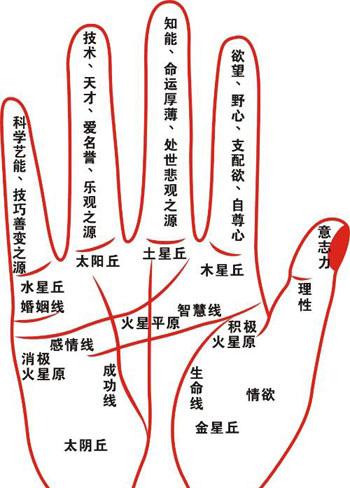 手相解析 各类型感情线图文详解 星座频道 手机搜狐 手相解析 各类型感情线图文详解 星座频道 手机搜狐