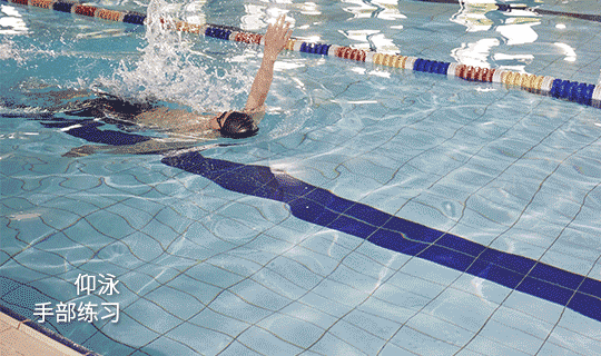 手掌张开,掌心向下,与水平面平行,让身体处于自然伸直状态;腿部动作