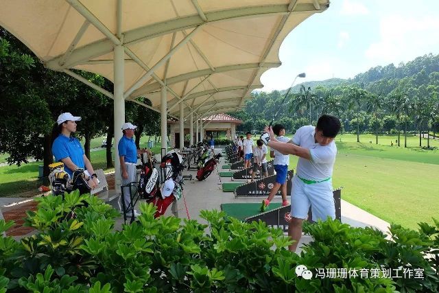 高尔夫培训热潮涌动：技巧与心态并重
