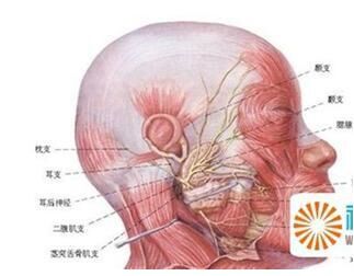 殷世荣介绍:治疗多发性神经炎的医院