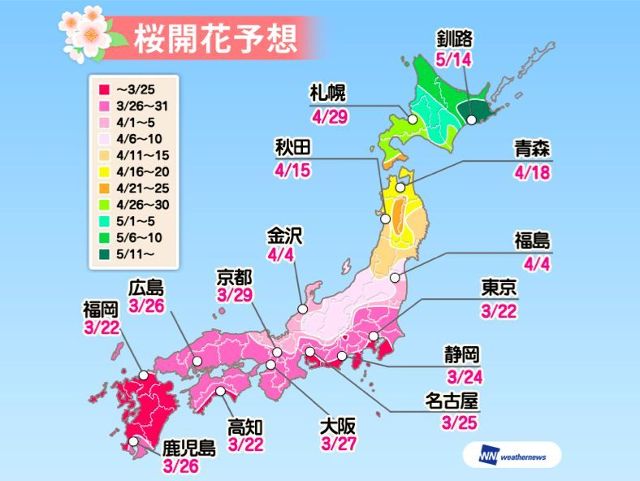 日本樱花季最强攻略 美景美食一览 再不看就没机会啦 旅游频道 手机搜狐