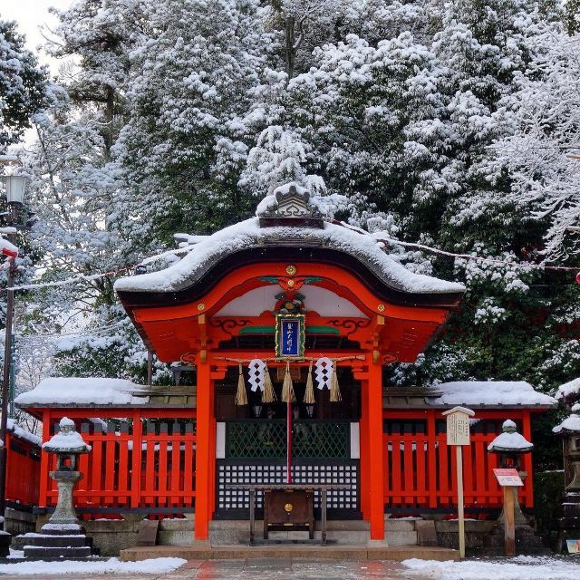 伏见稻荷大社 日本京都最受欢迎的祈愿地 旅游频道 手机搜狐