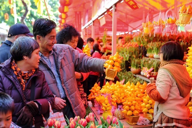 新春花市指南 这个春节年味满满 旅游频道 手机搜狐