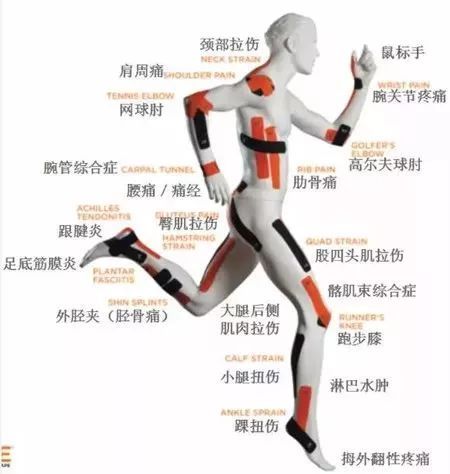 最全的肌贴教学图 赶紧收藏 体育频道 手机搜狐